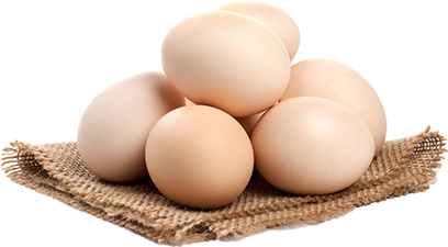img egg 01.png